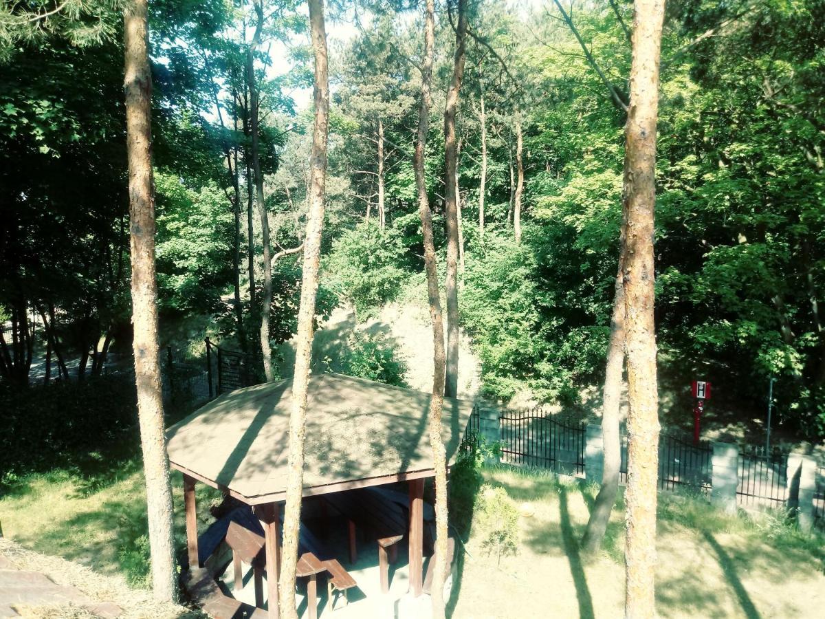 Dom Na Wzgorzu Apartman Jastarnia Kültér fotó